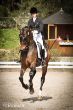 Loecki_April_2015-web-0858.jpg