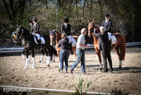Turnier_April_2015-web-0275.jpg