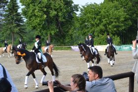 DSC_1074.JPG